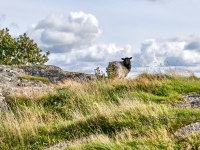 DSC_5605