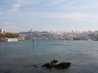 DSC_1526