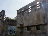 DSC_1527