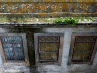 DSC_1595