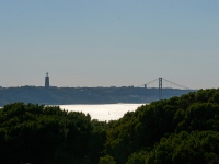 DSC_1753