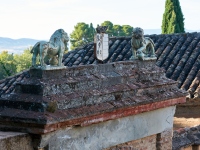 DSC_2341