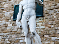 DSC_5886