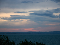DSC_2390