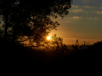 DSC_9717