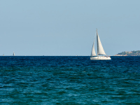 DSC_9800