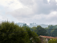 DSC_3070