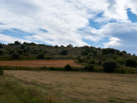 DSC_3109
