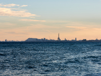DSC_3196