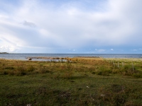 DSC_1566
