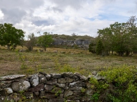 DSC_1595