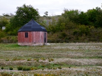 DSC_1597