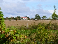 DSC_1630