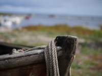DSC_1714