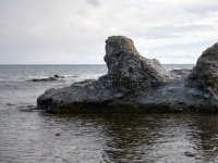DSC_1786