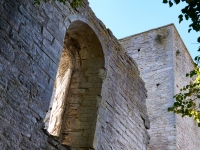 DSC_1911