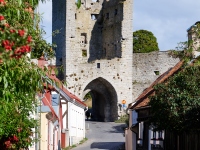 DSC_1964