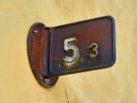 DSC_2282