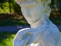 DSC_2035