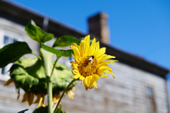 Neringa, Abragciems, Rīga – und Tallinn ganz am Rande