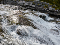 DSC_1729