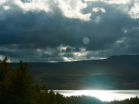 1_DSC_1482