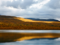 1_DSC_1486