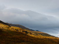 1_DSC_1487