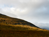1_DSC_1488