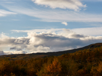 1_DSC_1492