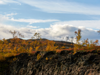 1_DSC_1499