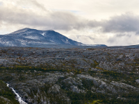 1_DSC_1515