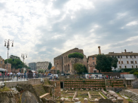 DSC_6545