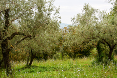 Roma – Venezia – Izieu: Venedig und Umgebung