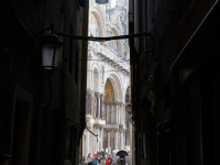 DSC_6770
