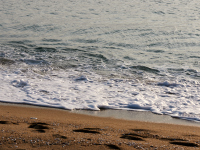 DSC_5438