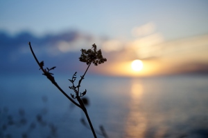 Sicilia: il Nord