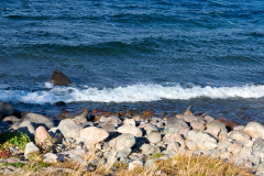 Norrland: Bär, björkar och fjäll