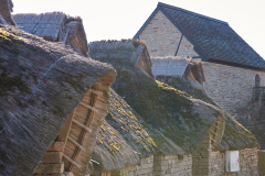 Öland: Får, fästningen och fåglar