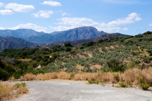 Verso Casa