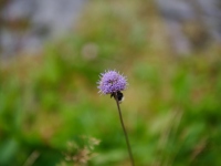 DSC_5411